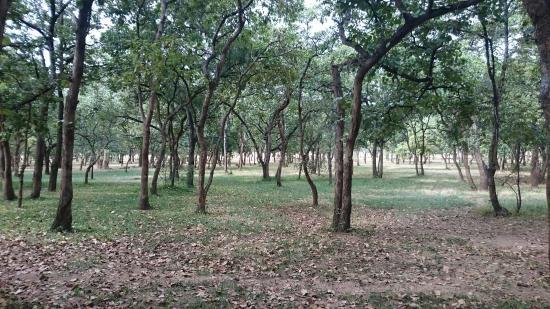 National Herbarium And Botanic Gardens Of Malawi