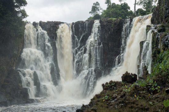 Ivindo National Park