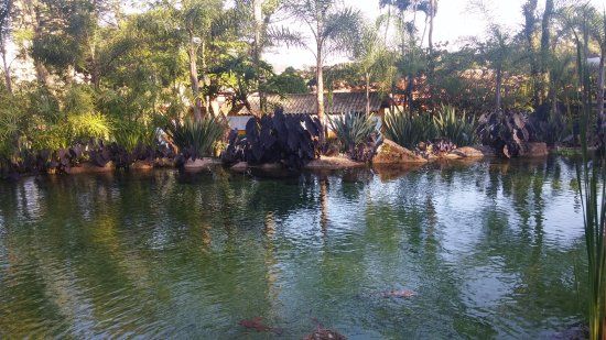 Parque Fábio da Silva Prado