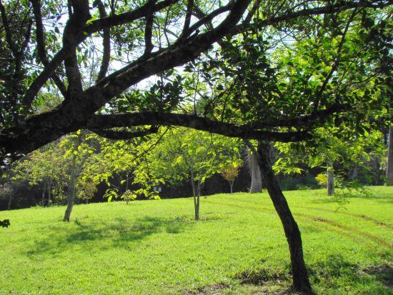 Parque Ecologico Eugenio Walter