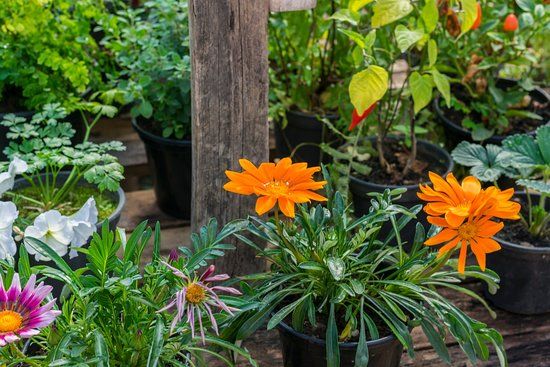 Sitio Sao Jose Turismo Rural