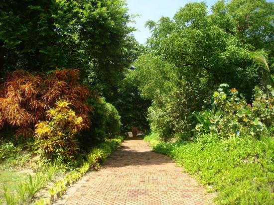 Jardin Botanico de San Andres