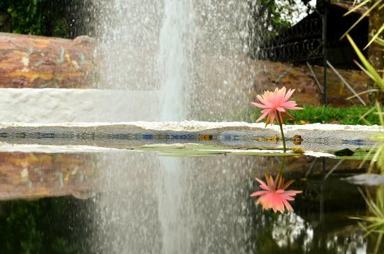 Quindio Botanical Garden