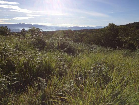 Mount Kitinglad Range National Park