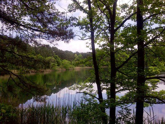 Hoffler Creek Wildlife Preserve Foundation