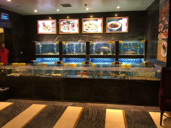 ShunFung Seafood Restaurant