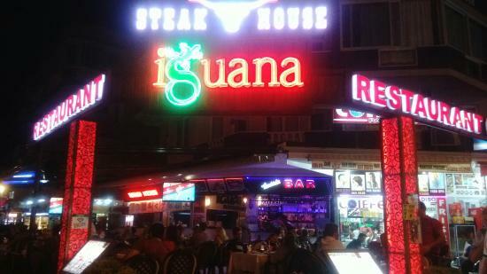 İguana oba