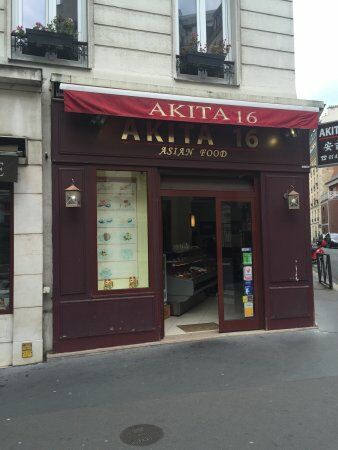 Akita 16