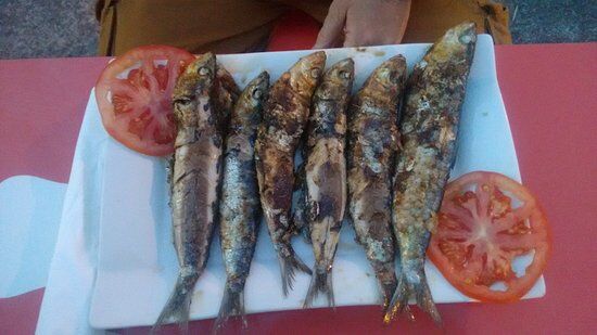 Bar Nuria