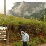 D'Minas Restaurante & Pizzaria