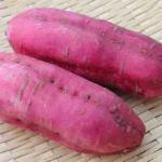 Japanese Restaurant Shichisai