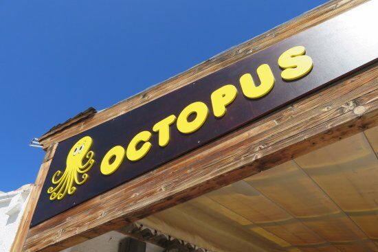 Octopus Bar
