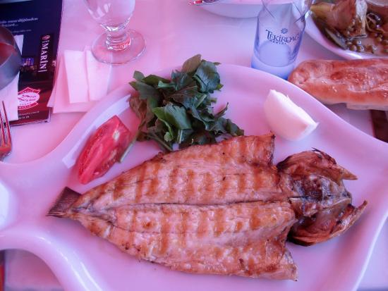 İskele Marin