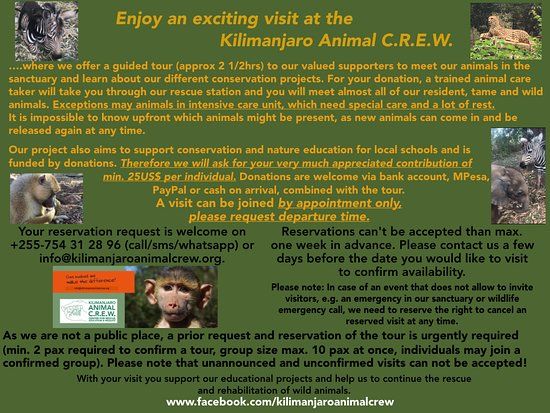 Kilimanjaro Animal C.R.E.W