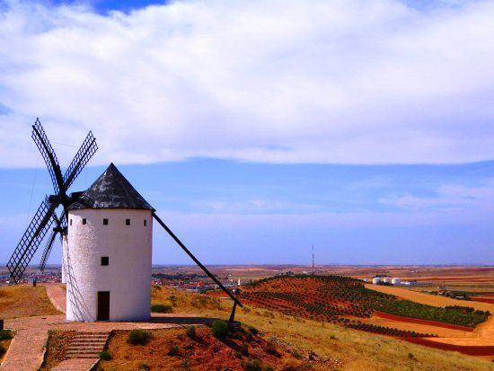 Molinos de Alcázar de San Juan