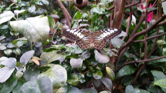 Dschungelhaus in Tirol