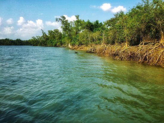 Gangamati Reserved Forest