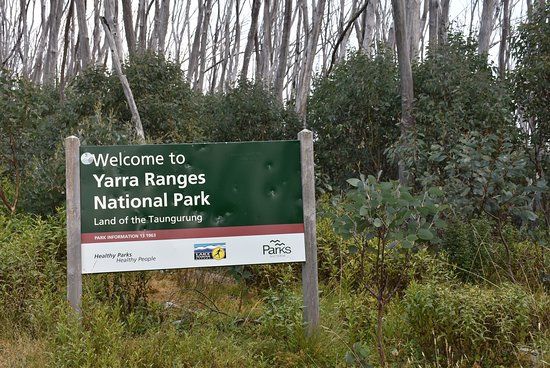 Yarra Ranges National Park
