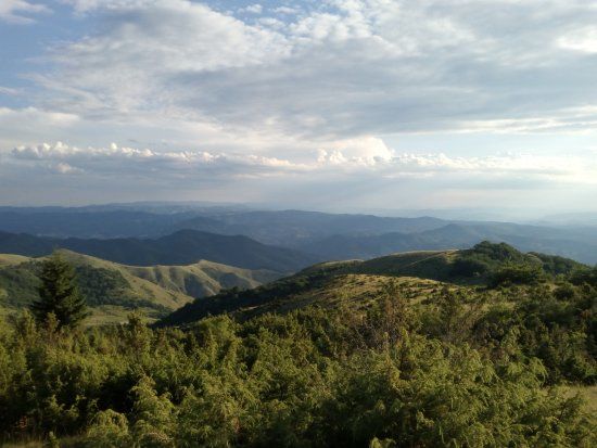 Kopaonik