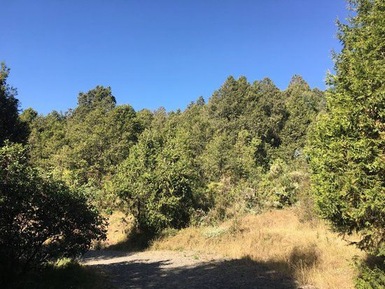 Gullele Botanical Garden