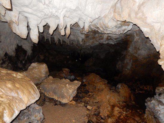 Oparara Basin Walking Tracks