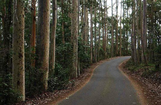 Cumberland State Forest