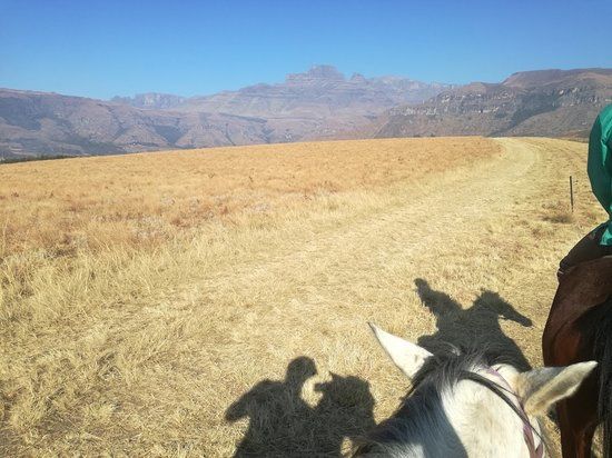 Cathkin Equestrian Center