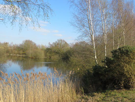 Whisby Nature Park