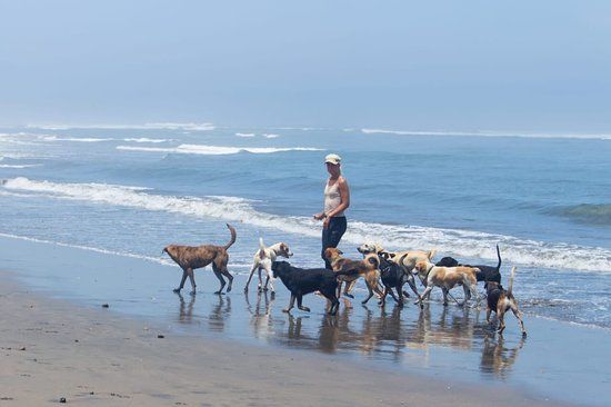 Huanchaco Al Rescate