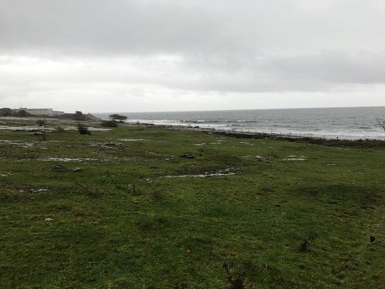 Rock Carvings in Simrislund