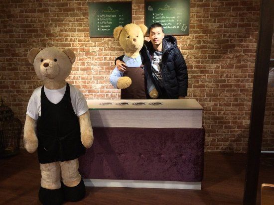 One Bear Museum