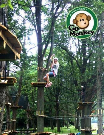 GoMonkey ApS