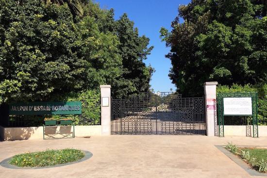 Botanischer Garten