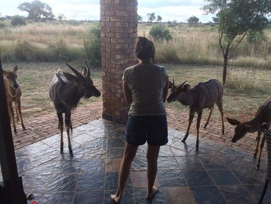 Sondela Rehab Centre Bela Bela