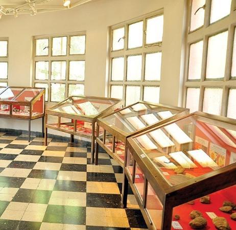 Fundacion Museo Regional Patagonico Profesor Antonio Garces