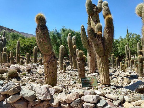 Altura Botanical Garden