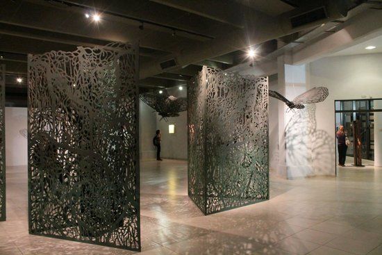 Museo de Bellas Artes Rene Brusau