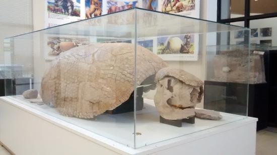 Museo Don Santos Tosticarelli