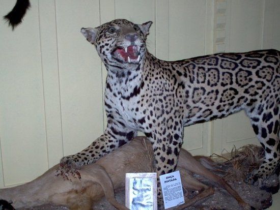 Museu Frei Miguel