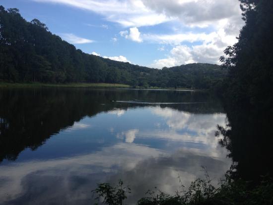Parque Natural Municipal de Pouso Alegre