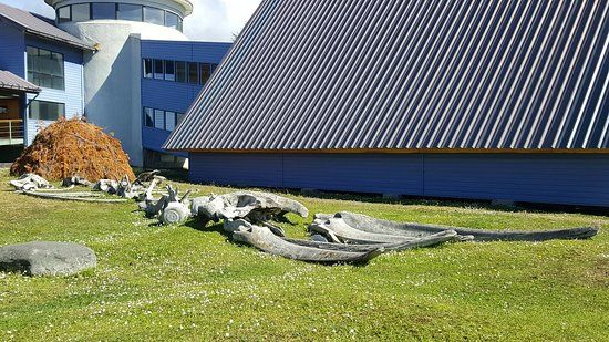 Martin Gusinde Anthropological Museum