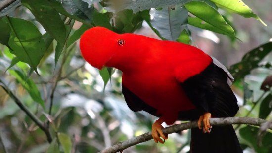 Parque Natural Jardin de Rocas