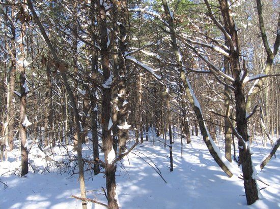 Cheesequake State Park