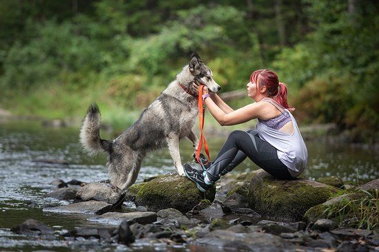 Parc Regional Des Grandes-Coulees