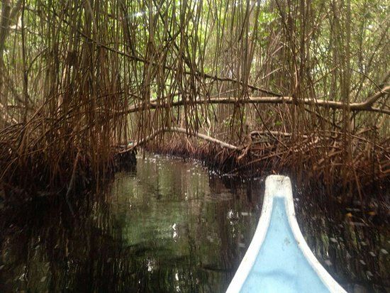 Cienaga la Caimanera