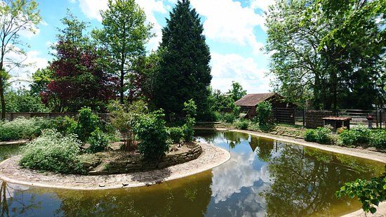Letzenberg Tierpark