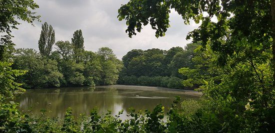 Ziegelweiher Park