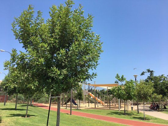 Herzliya Park