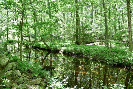Babcock Preserve