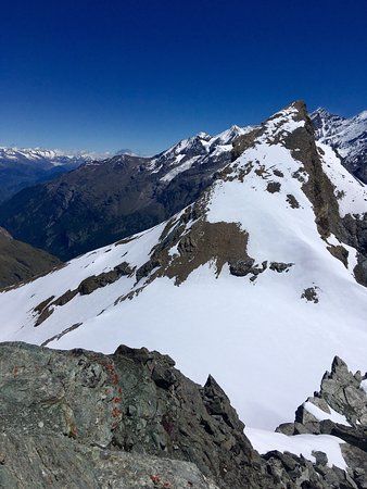 Mettelhorn
